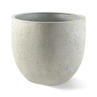 Egg Concrete Pot - Plant Studio LLC