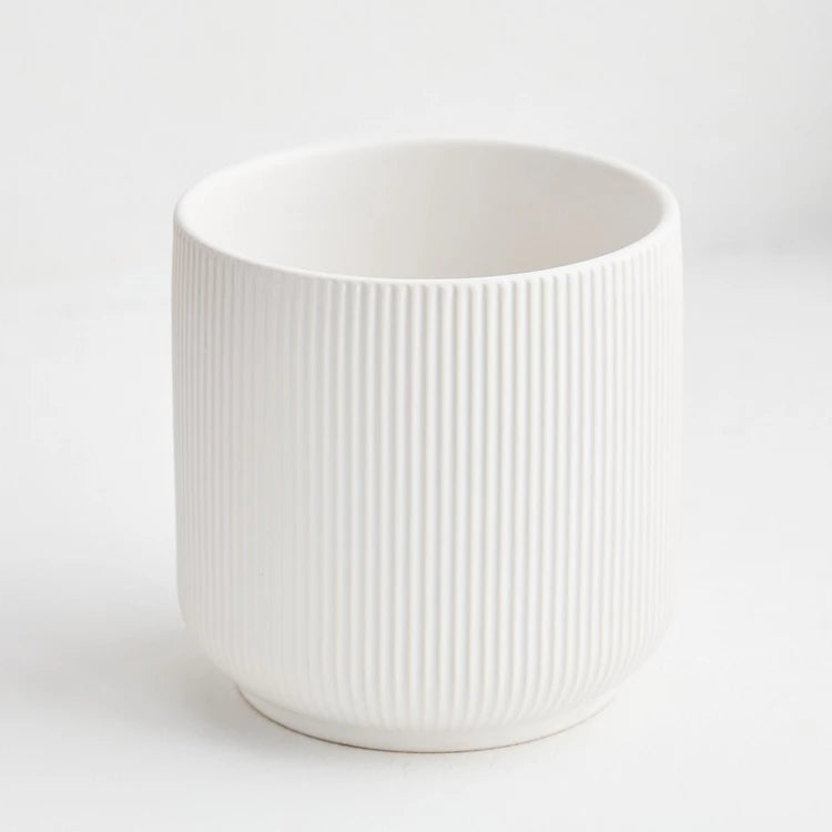 Round Ribbed Pot White Ribbed Ceramic Pot 12cm – Plant Studio LLC