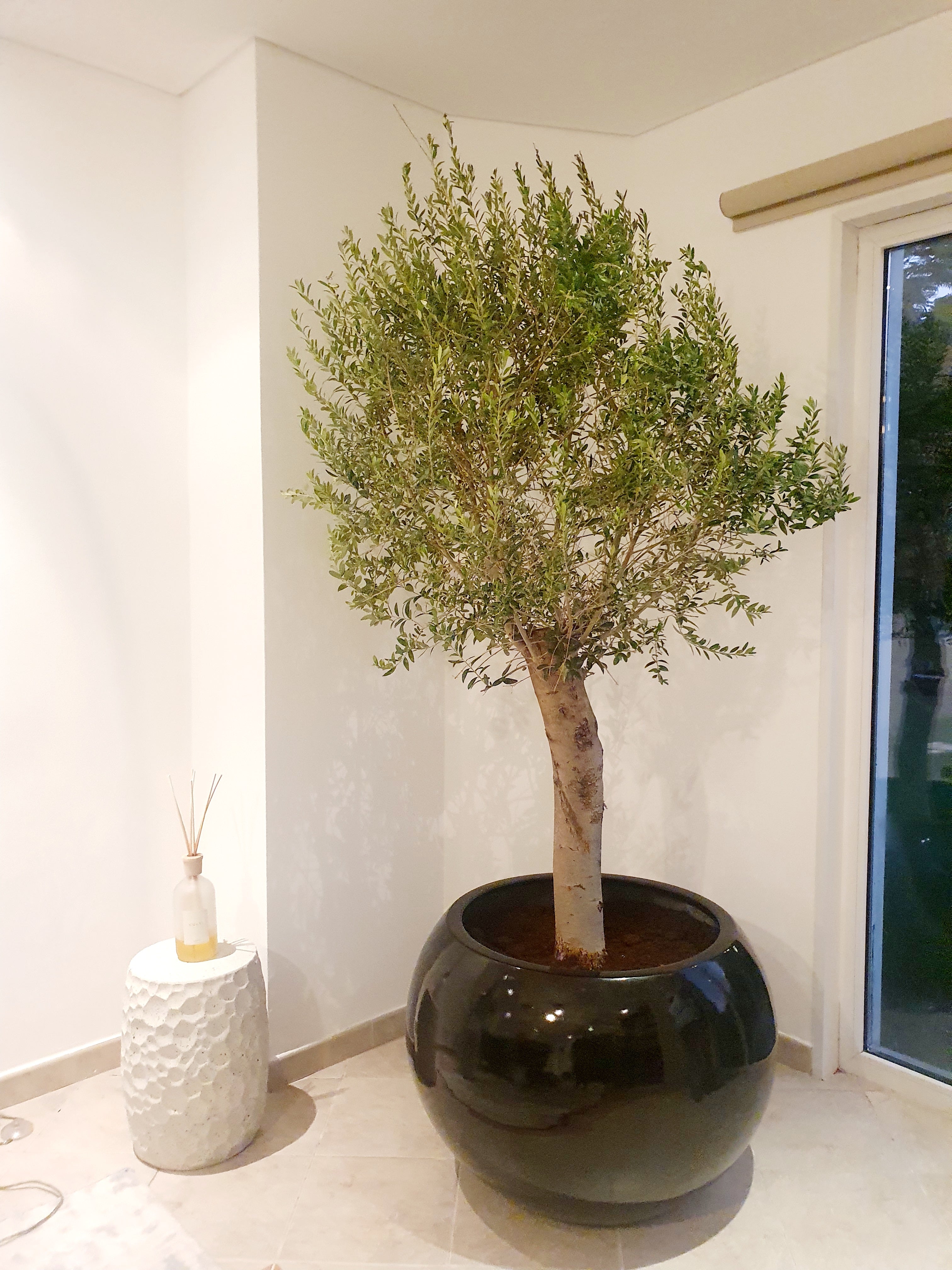 Round Fiber Glass Pot