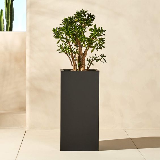 Fiber Clay Long Cube Pot - Matte - Plant Studio LLC