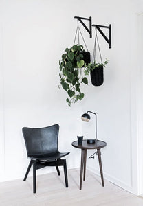 Philodendron Heartleaf in Hanging Pot