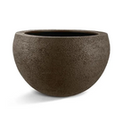 Bronze Wash Pot for Large Plants - Plant Studio LLC