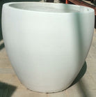 White Fiber Clay Pot - Plant Studio LLC