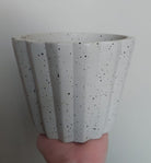 Edge Pot 15cm - Plant Studio LLC