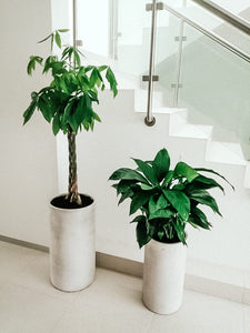 Fiber Clay Cylinder Pot