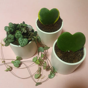 Hearts Bundle