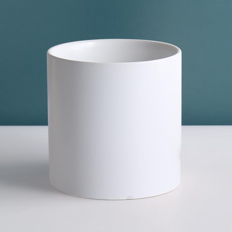 white cylinder pot placed on top of white table with teal background - Plant Studio