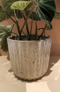 Candy Pot Plant Studio LLC 