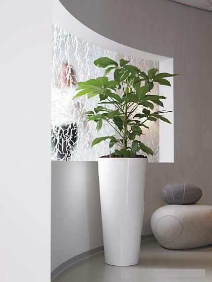 Fiber Glass Pot - Plant Studio LLC