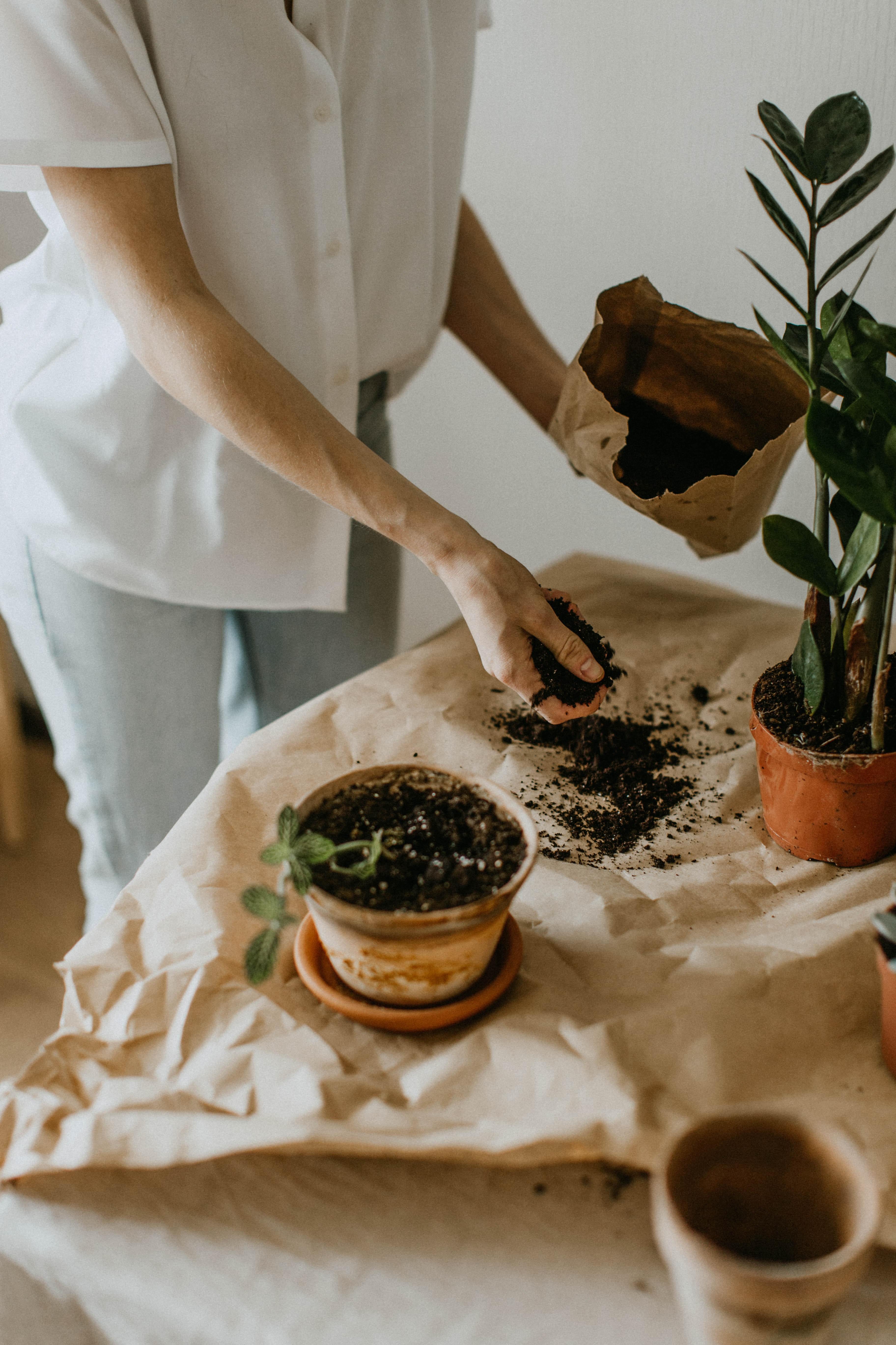 Mixed Potting Soil Plant Studio LLC 