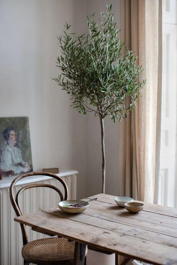 Table tree plant discount