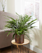 Aglaomorpha Coronans Juvenile Jim 'Snakeleaf Fern' in brown gradient pot placed on top of a small table in the living room - Plant Studio LLC