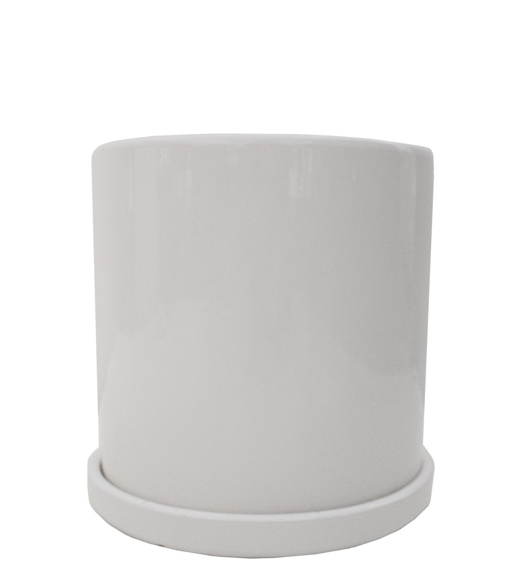 White Ceramic Pot Plant Studio LLC 