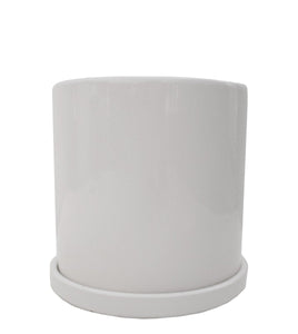 White Ceramic Pot Plant Studio LLC 