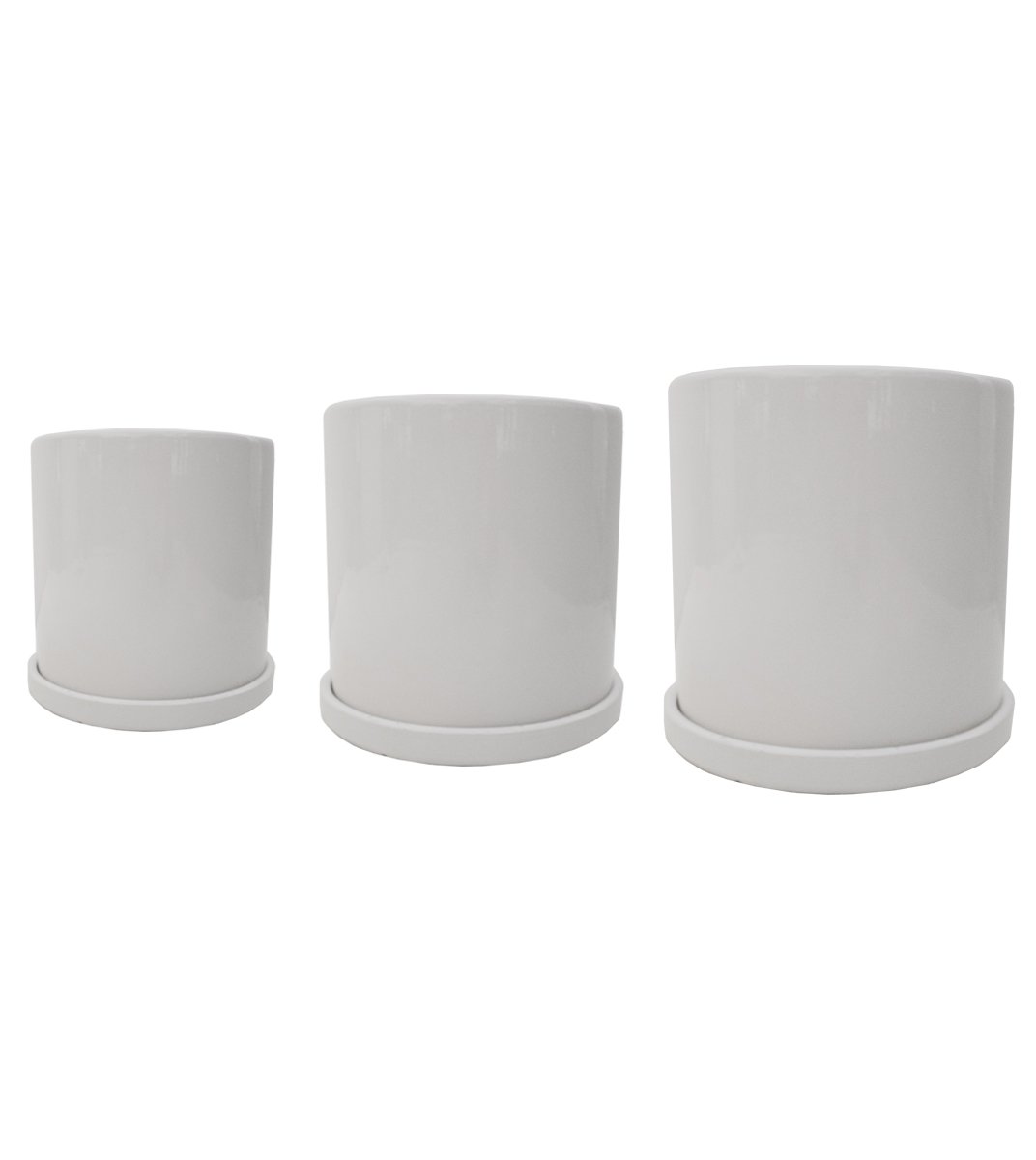 White Ceramic Pot Plant Studio LLC 