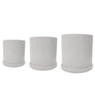 White Ceramic Pot Plant Studio LLC 