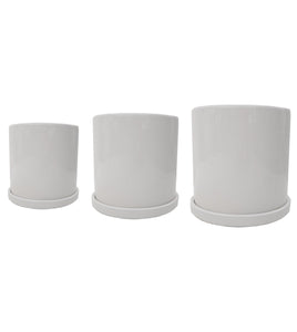 White Ceramic Pot Plant Studio LLC 